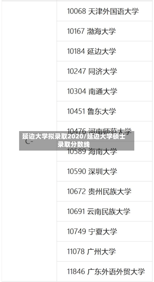 延边大学拟录取2020/延边大学硕士录取分数线