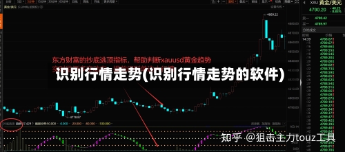 识别行情走势(识别行情走势的软件)