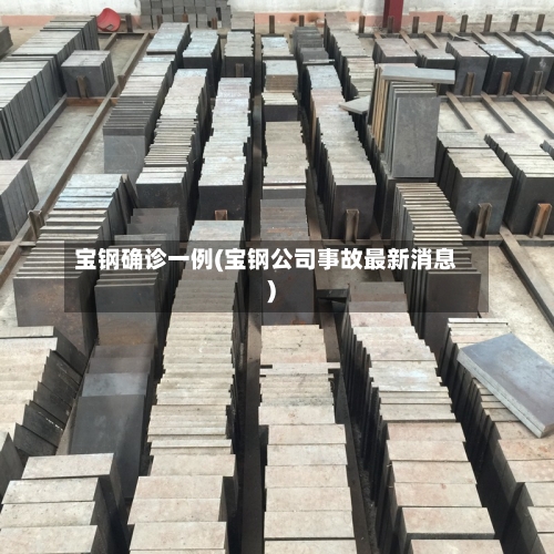 宝钢确诊一例(宝钢公司事故最新消息)