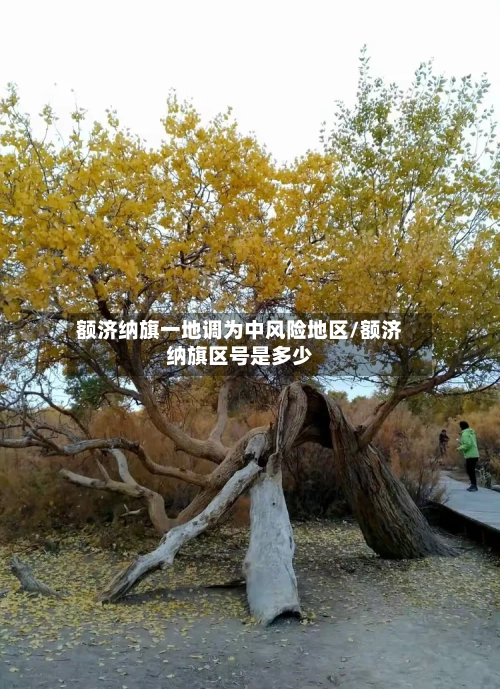 额济纳旗一地调为中风险地区/额济纳旗区号是多少