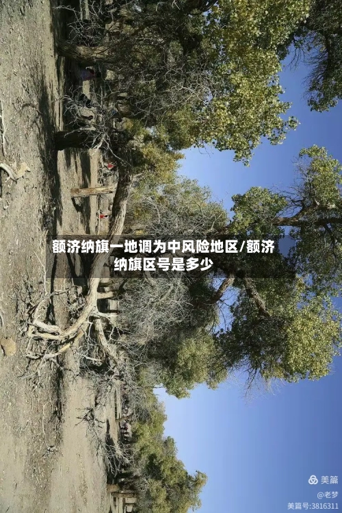 额济纳旗一地调为中风险地区/额济纳旗区号是多少