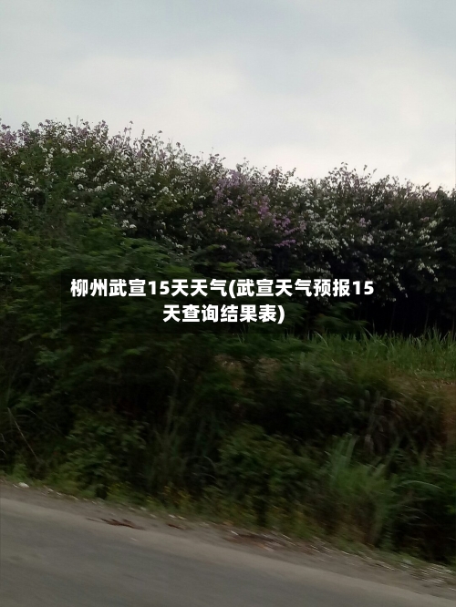 柳州武宣15天天气(武宣天气预报15天查询结果表)