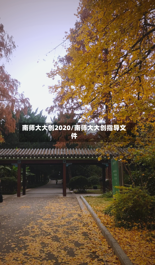 南师大大创2020/南师大大创指导文件