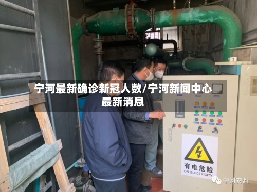 宁河最新确诊新冠人数/宁河新闻中心最新消息