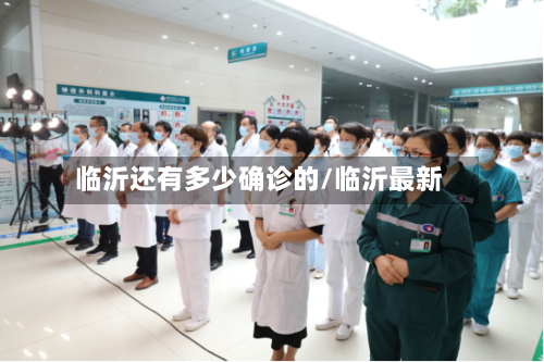 临沂还有多少确诊的/临沂最新