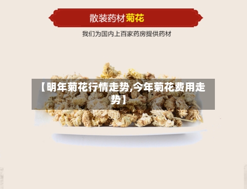 【明年菊花行情走势,今年菊花费用走势】