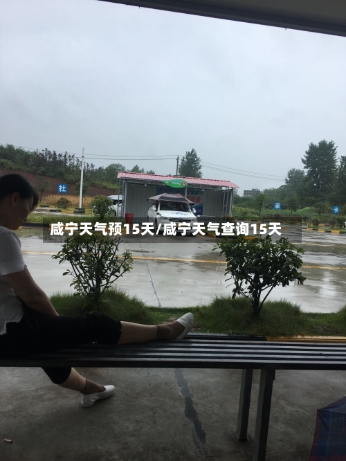 咸宁天气预15天/咸宁天气查询15天