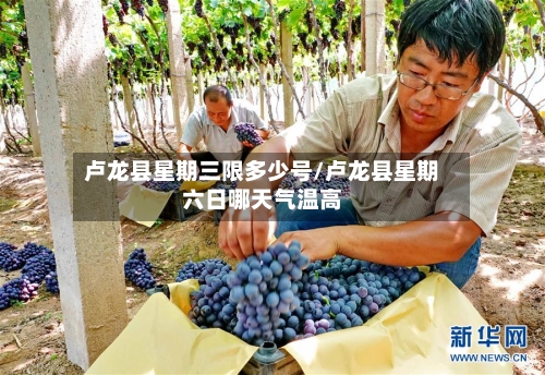 卢龙县星期三限多少号/卢龙县星期六日哪天气温高