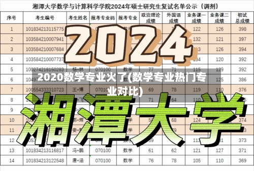 2020数学专业火了(数学专业热门专业对比)