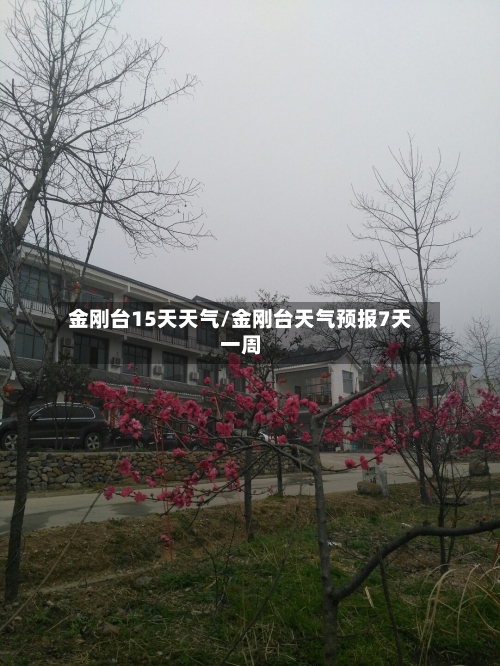 金刚台15天天气/金刚台天气预报7天一周