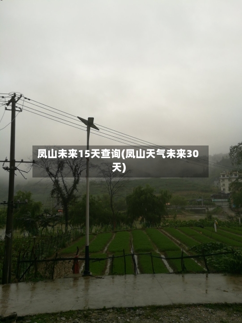 凤山未来15天查询(凤山天气未来30天)