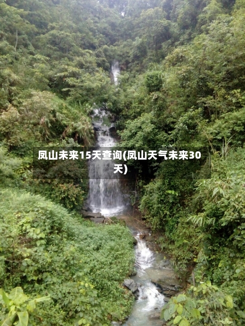 凤山未来15天查询(凤山天气未来30天)