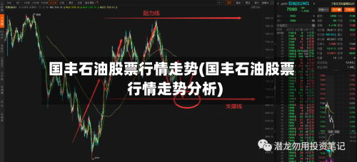国丰石油股票行情走势(国丰石油股票行情走势分析)