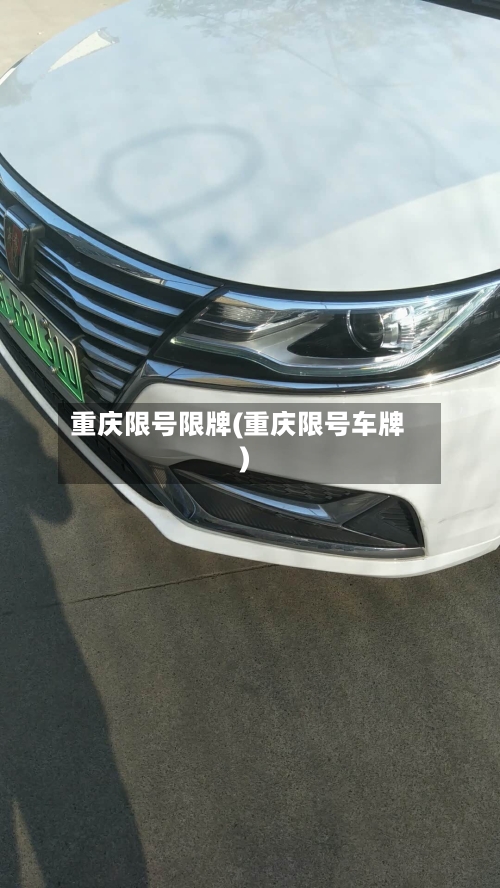 重庆限号限牌(重庆限号车牌)