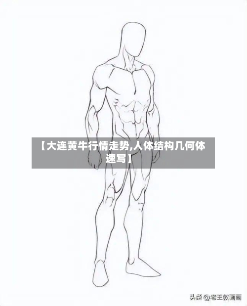 【大连黄牛行情走势,人体结构几何体速写】