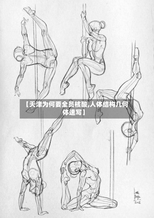 【天津为何要全员核酸,人体结构几何体速写】