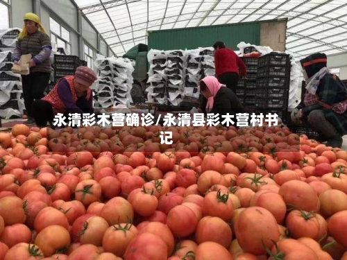 永清彩木营确诊/永清县彩木营村书记
