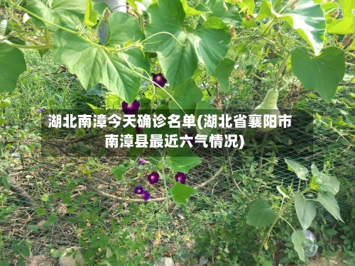 湖北南漳今天确诊名单(湖北省襄阳市南漳县最近六气情况)