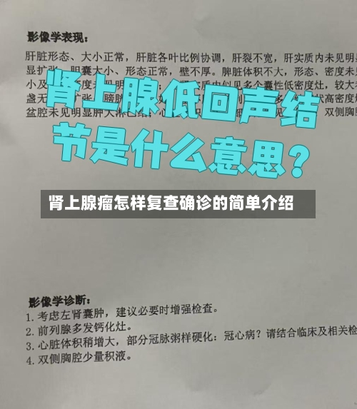 肾上腺瘤怎样复查确诊的简单介绍
