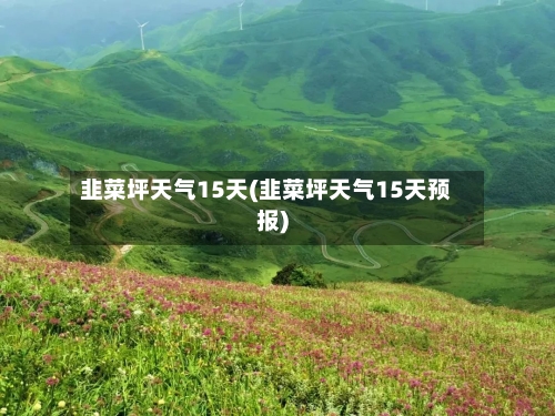 韭菜坪天气15天(韭菜坪天气15天预报)