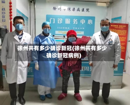 徐州共有多少确诊新冠(徐州共有多少确诊新冠病例)