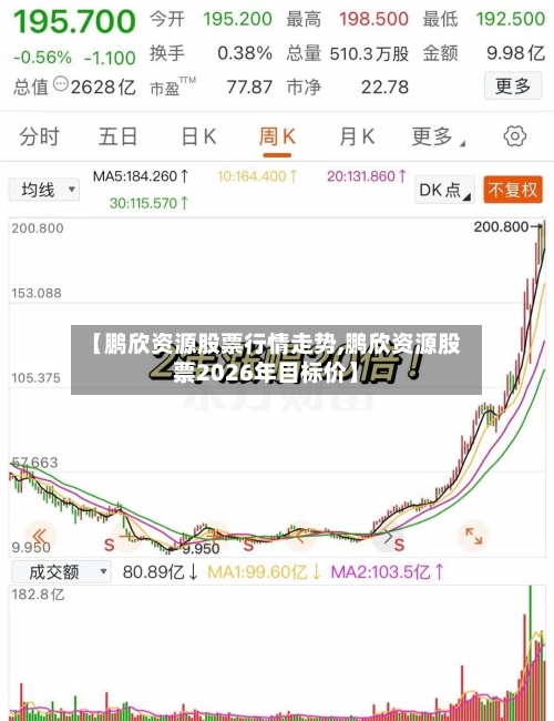 【鹏欣资源股票行情走势,鹏欣资源股票2026年目标价】