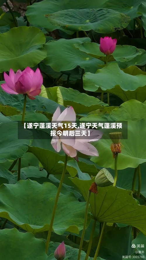 【遂宁蓬溪天气15天,遂宁天气蓬溪预报今明后三天】