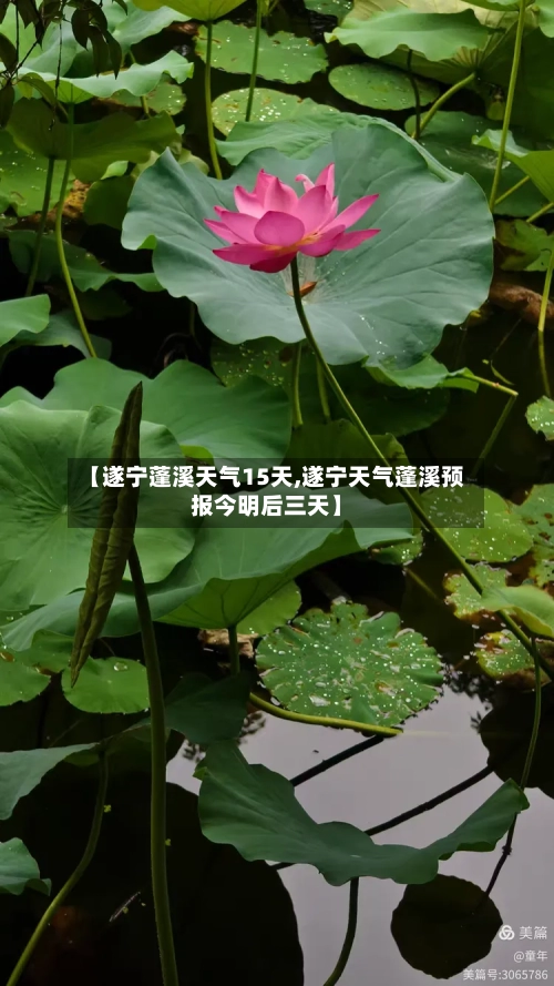 【遂宁蓬溪天气15天,遂宁天气蓬溪预报今明后三天】
