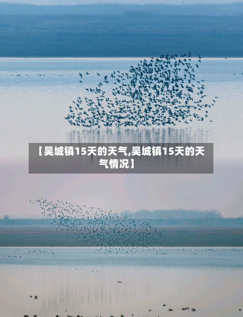 【吴城镇15天的天气,吴城镇15天的天气情况】