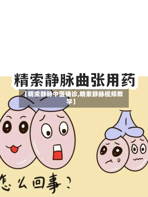 【精索静脉中医确诊,精索静脉视频教学】