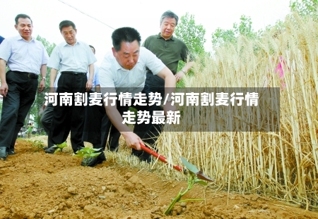 河南割麦行情走势/河南割麦行情走势最新